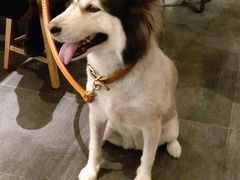 -星巴克(苏州泰华店)