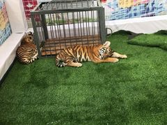 -枫叶小镇奥特莱斯