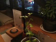 -瓦库茶馆17号(海汇港店)