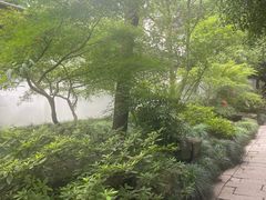 -秋霞圃