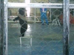 android_upload_pic-西安秦岭野生动物园