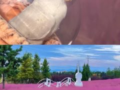 -羊亭河湿地公园