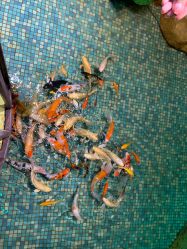 -酷嗒动物文化乐园(cutezoo西溪乐天城店)