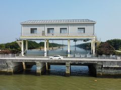 -大湾区中央湿地公园-十九涌
