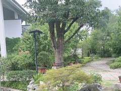 -广富林宰相府酒店·水云间