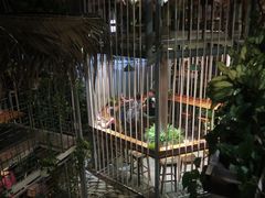 -Rainforest