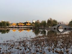 -长春市南湖公园