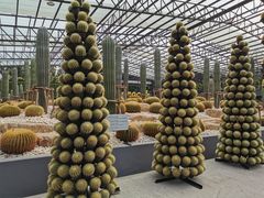 -东芭乐园