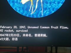 -上海当代艺术博物馆