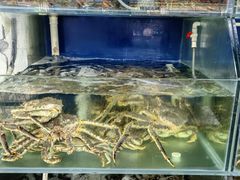 水产区-众彩物流水产市场