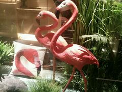 -星聚会KTV(景枫中心店)