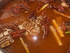 -小叫驴养生驴肉火锅(龙游店)