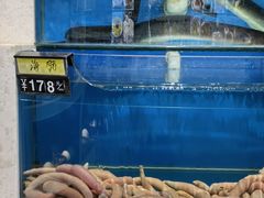 水产区-绫罗岛海鲜私房菜(鸭绿江边店)