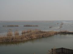 -盐城丹顶鹤湿地生态旅游区