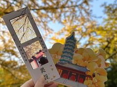 -灵谷景区