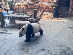 -石家庄市动物园