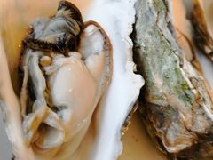 -港畔赶海蒸汽海鲜烧烤自助(仙螺岛店)