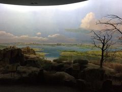 -水洞沟旅游区