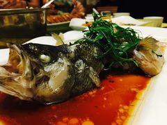 -盛记顺德高佬猪杂粥