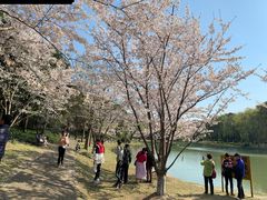 -浙江宾馆·花园餐厅·自助餐厅·茶吧