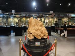 -香市公园-中国沉香文化博物馆