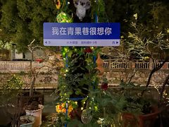 -青果巷历史文化街区