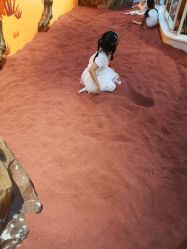 -北京科学中心儿童乐园