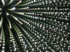 -桔子酒店(天津五大道店)