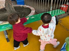 -顺德大良半月城游乐场