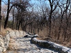 -阳台山自然风景区