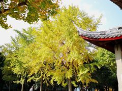 景点-北寺塔