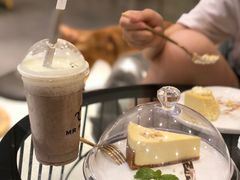 -飞行喵MR PILOT|猫舍·猫咖(静安大融城店)