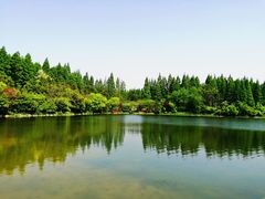 -东平国家森林公园