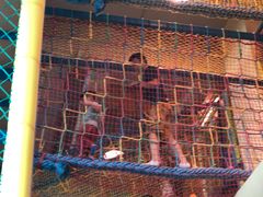 -上海浦东嘉里大酒店