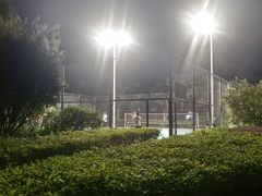 -金山公园