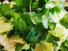 -陈大锅·岳阳鱼馆·地道岳阳菜(美食街店)