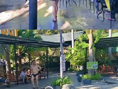 -100蛋泥浆浴