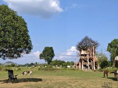 -云漫湖生态度假公园