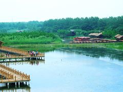 -溱湖国家湿地公园