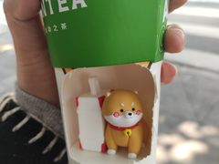 -PINTEA LAB(北京路店)