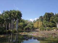 -中国科学院西双版纳热带植物园