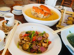 -顺德了能馆(虎门店)