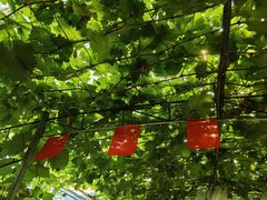 -大泽山风景名胜区