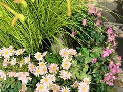 -第101座花园餐厅(湖滨88店)