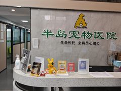 -半岛宠物医院24小时(科华中路店)