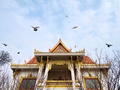 -洛阳白马寺