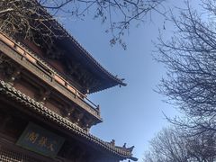 -善化寺