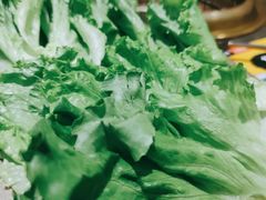 生菜-彭妈家·岩物炙烤肉(龙阳广场店)