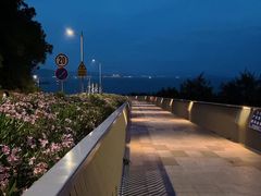 -玫瑰海岸文化旅游度假区