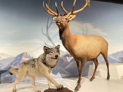 -陕西自然博物馆